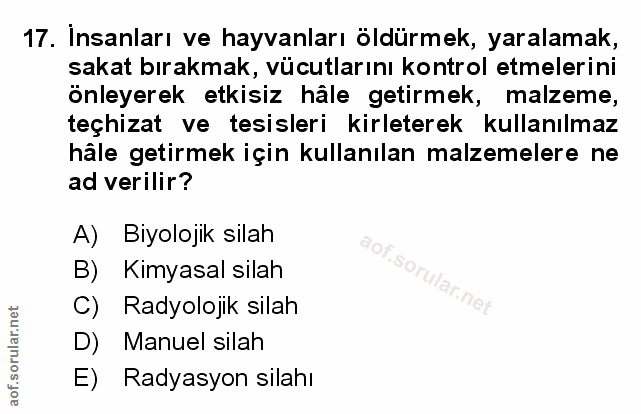 Soru 17