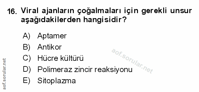 Soru 16