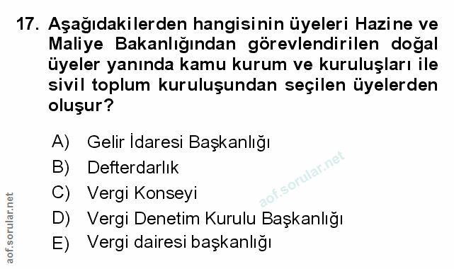 Soru 17