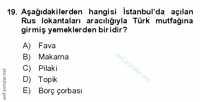 Soru 19