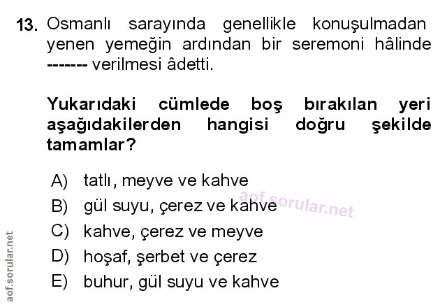 Soru 13