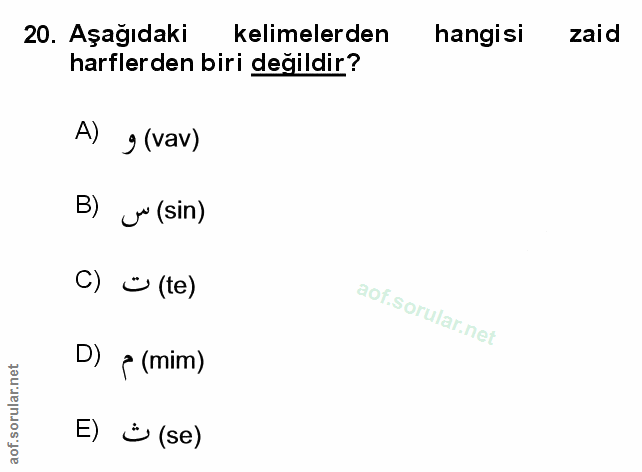 Soru 20