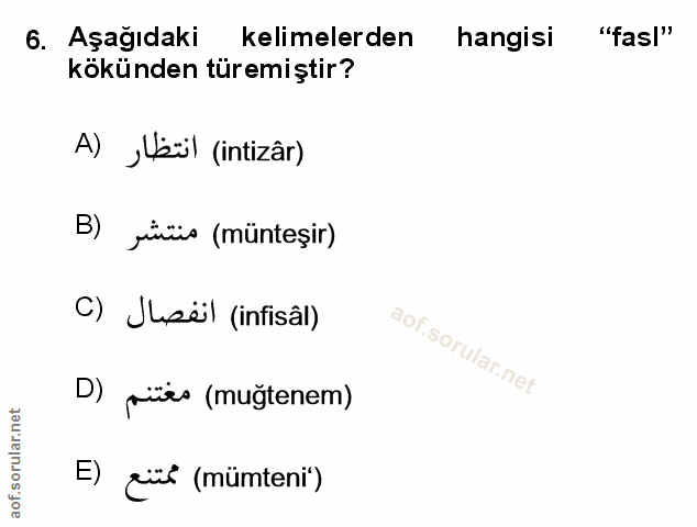 Soru 6