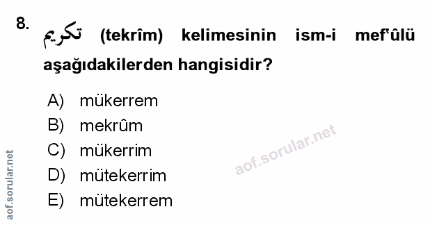 Soru 8