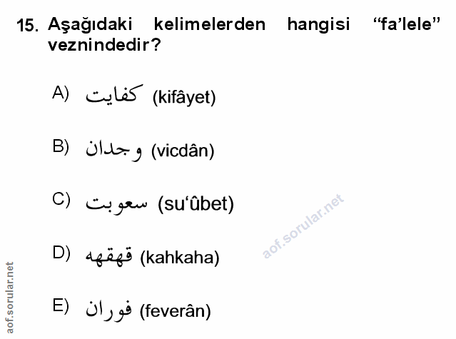 Soru 15