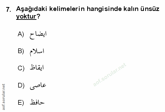 Soru 7
