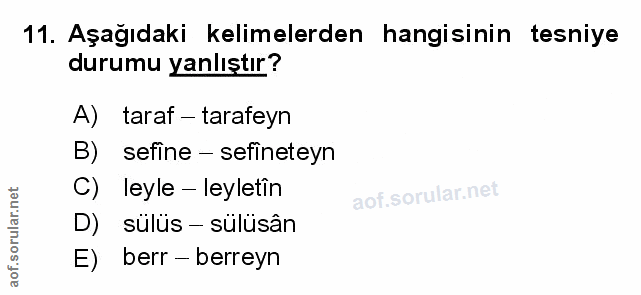 Soru 11