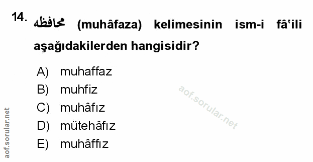 Soru 14