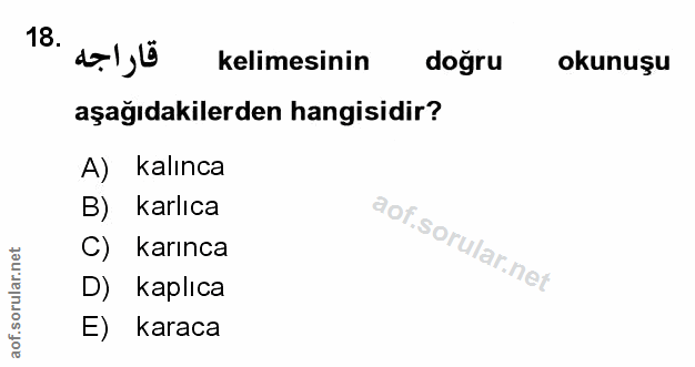 Soru 18