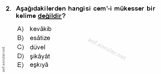 Soru 2