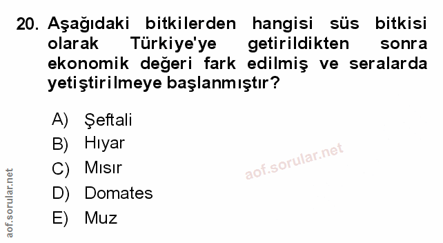 Soru 20