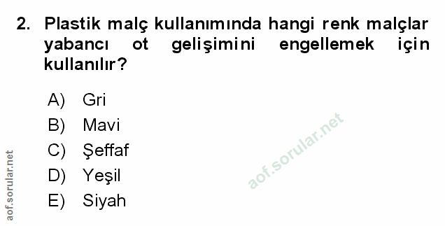 Soru 2