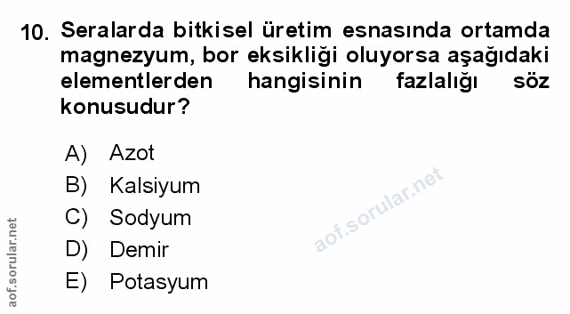 Soru 10