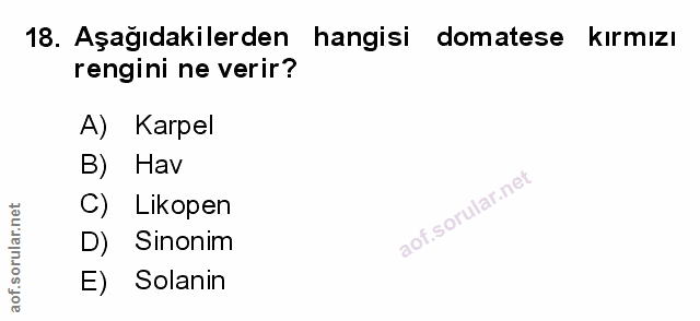 Soru 18