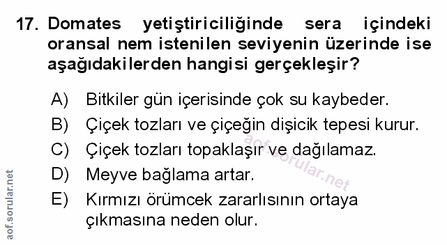 Soru 17