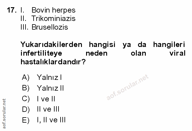 Soru 17