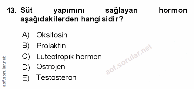 Soru 13