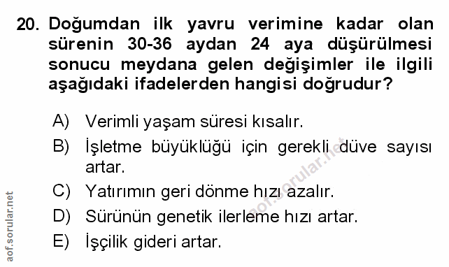 Soru 20