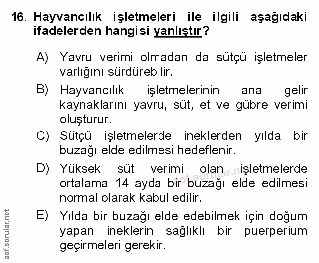 Soru 16