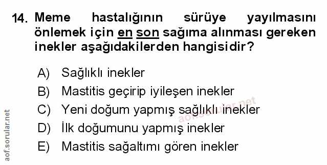 Soru 14