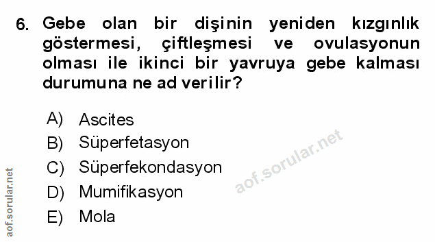 Soru 6