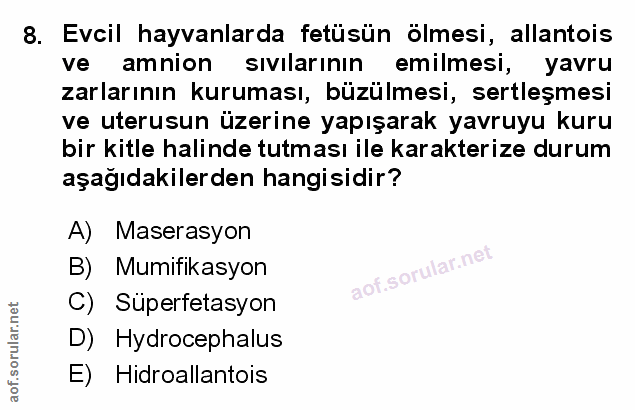 Soru 8