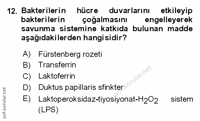 Soru 12