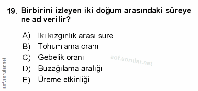 Soru 19