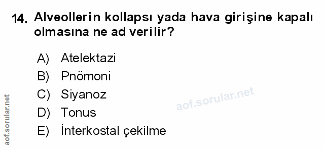 Soru 14