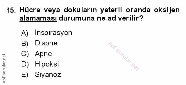 Soru 15