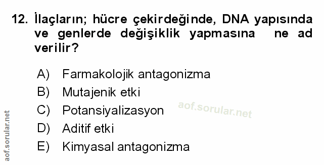 Soru 12