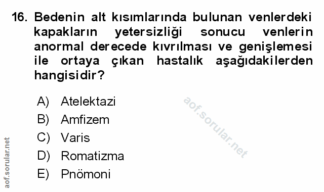 Soru 16