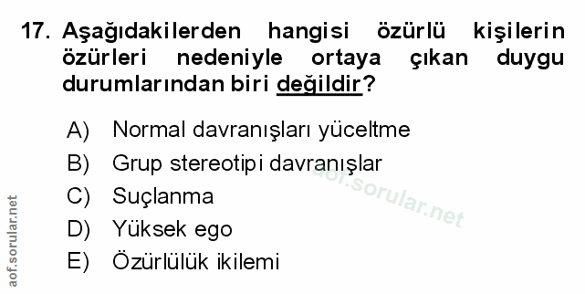 Soru 17