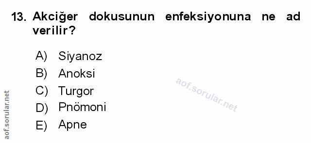 Soru 13