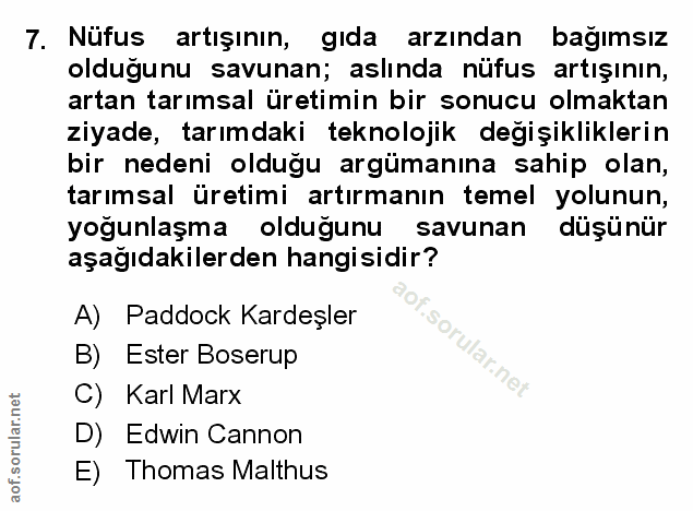 Soru 7