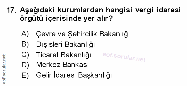 Soru 17