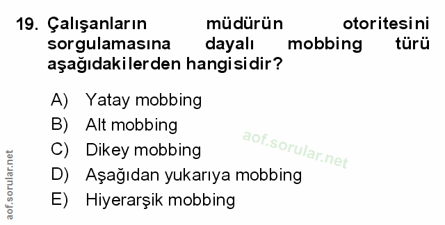 Soru 19