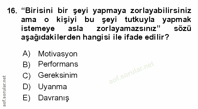Soru 16