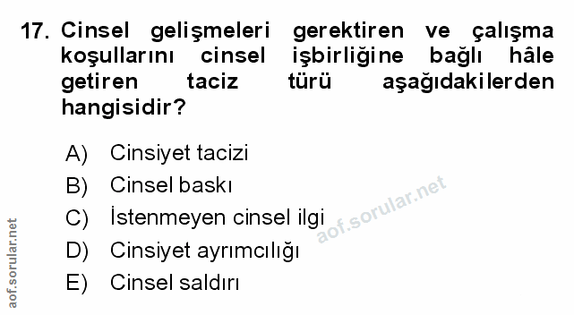 Soru 17