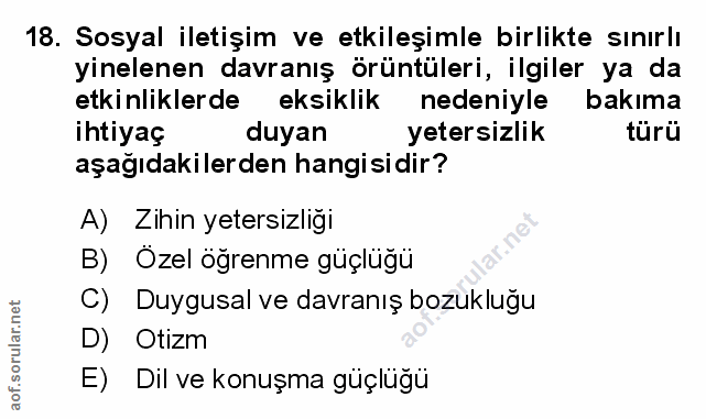 Soru 18