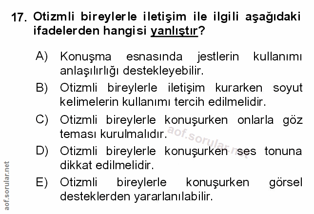Soru 17