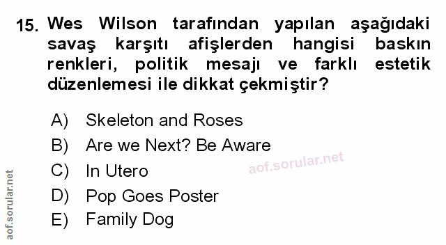 Soru 15