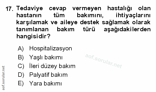 Soru 17