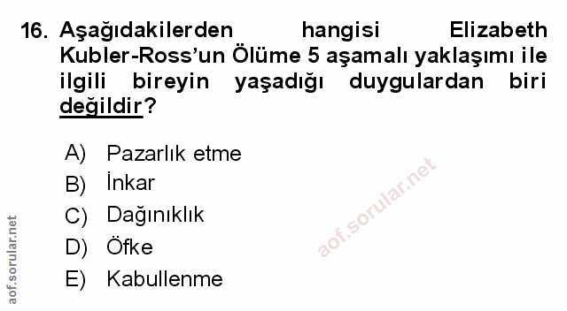 Soru 16