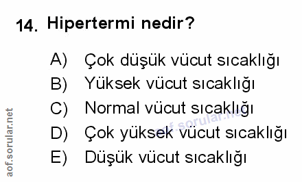 Soru 14