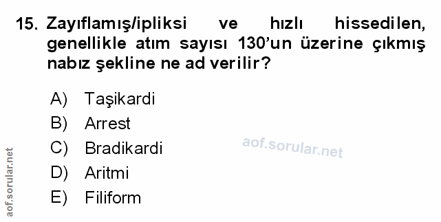 Soru 15