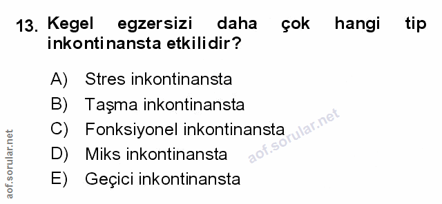 Soru 13