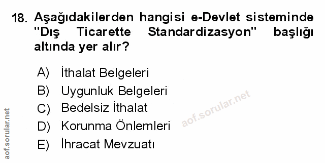 Soru 18