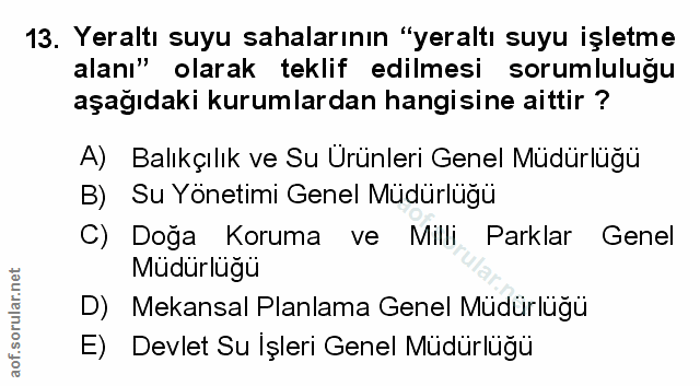 Soru 13