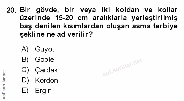Soru 20